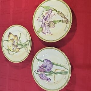 American Atelier Floral Accent Plates - Yellow, Purple, Green 8" Diameter4